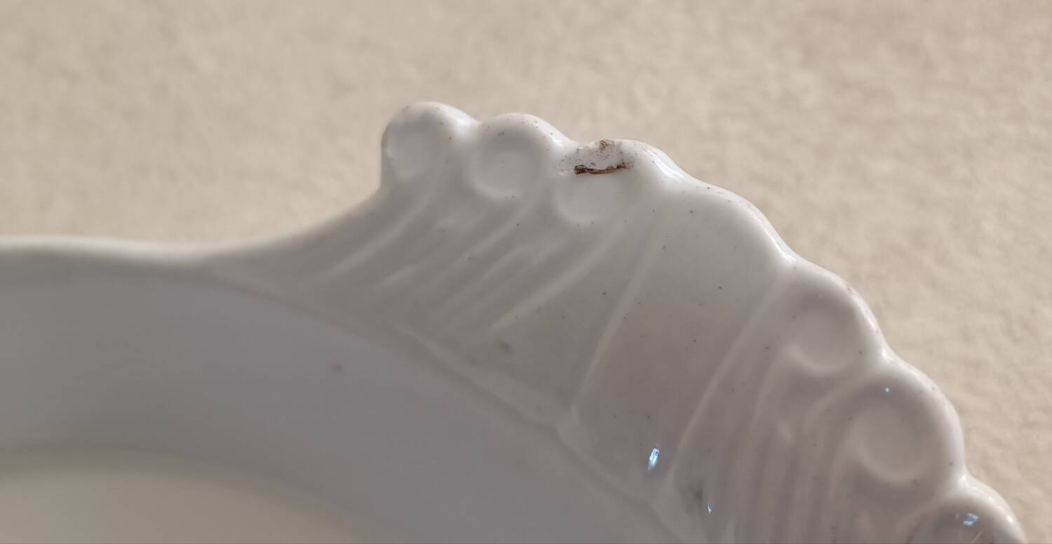 Porcelain fire dish