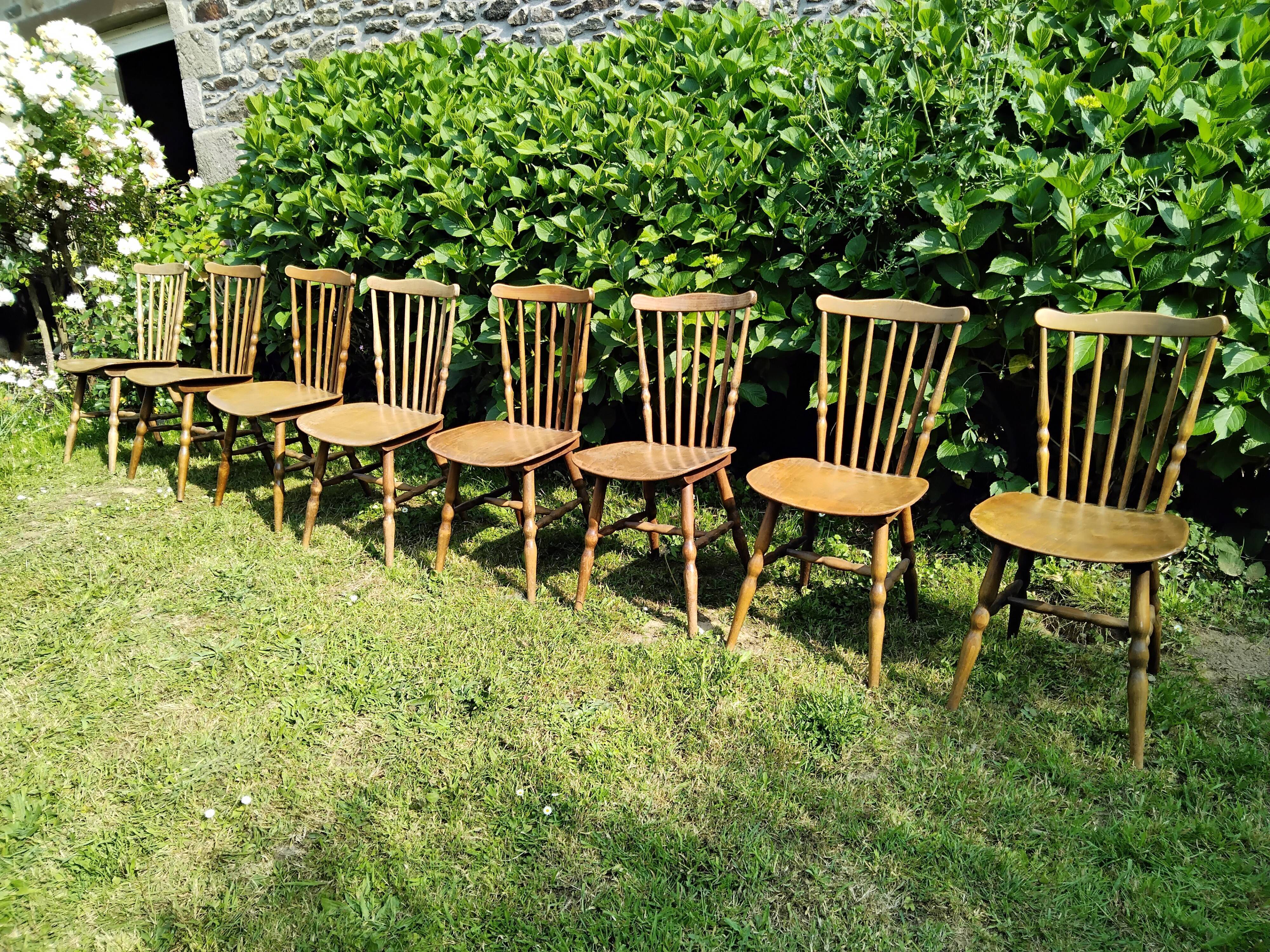 Baumann Takoma chairs