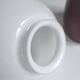 Ceramic and white opaline lamp