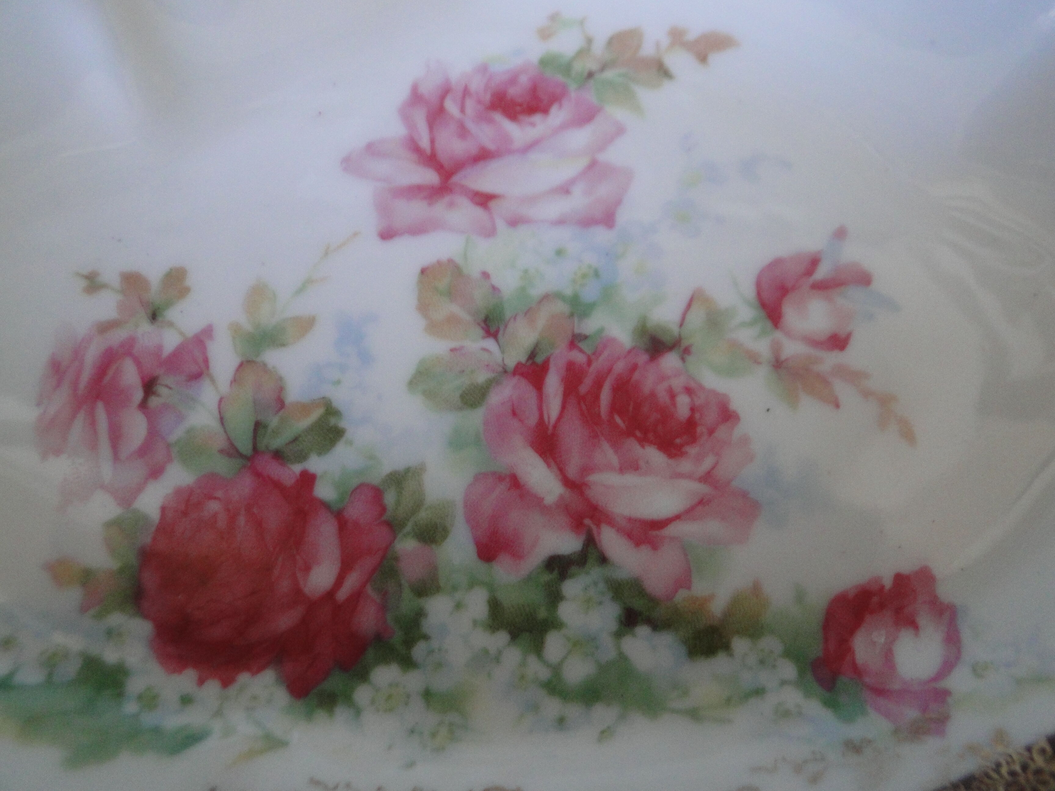 Servant beggar old porcelain 3 compartments small roses on white background