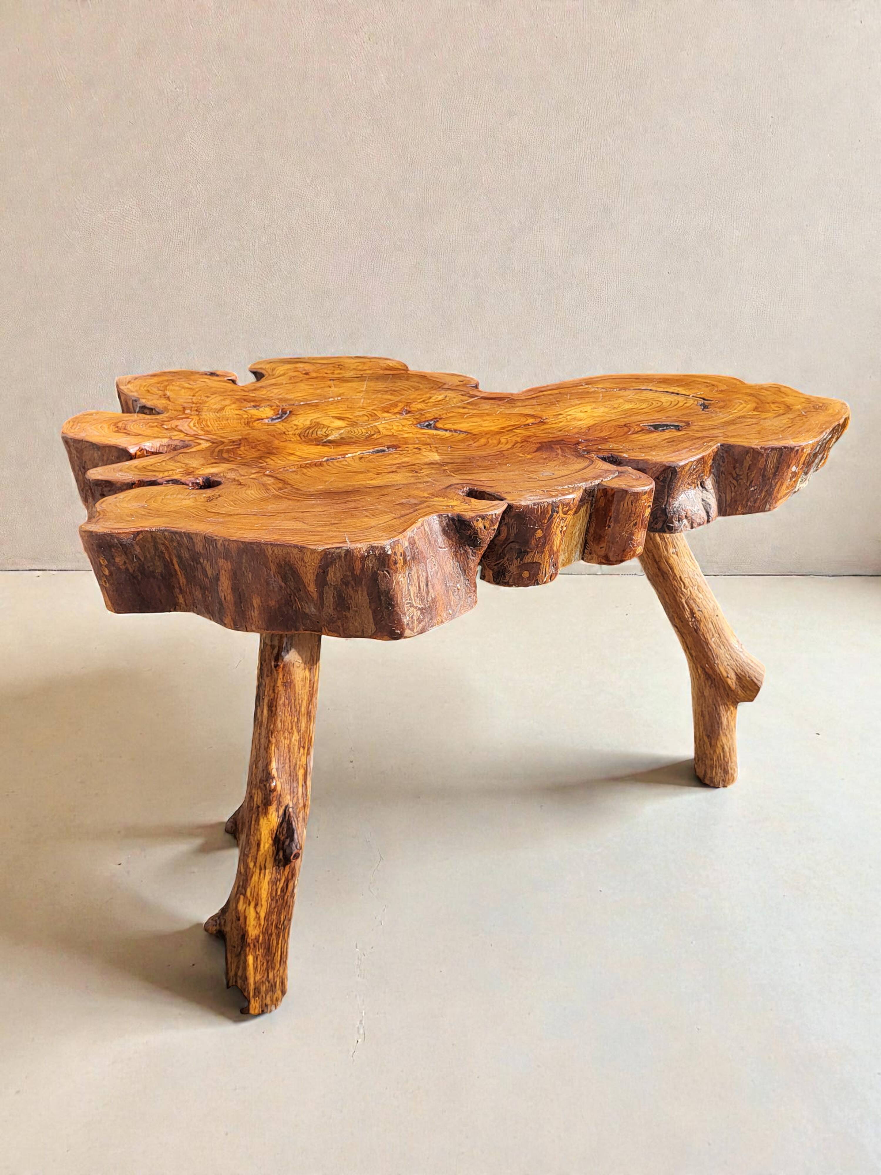Olive root coffee table in brutalist style.