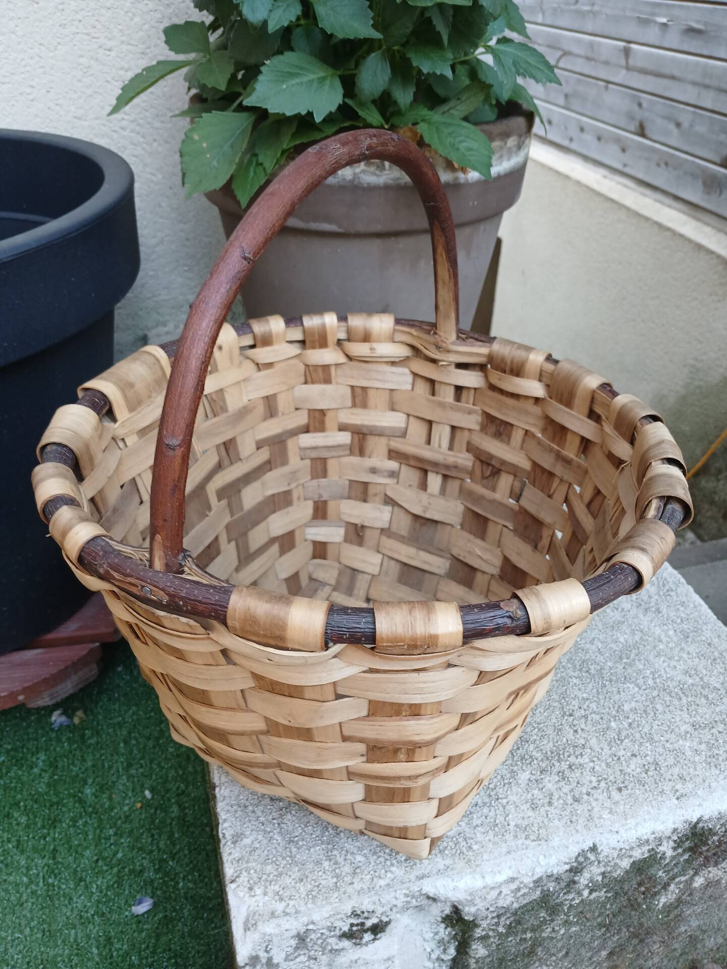 Panier ancien à champignons