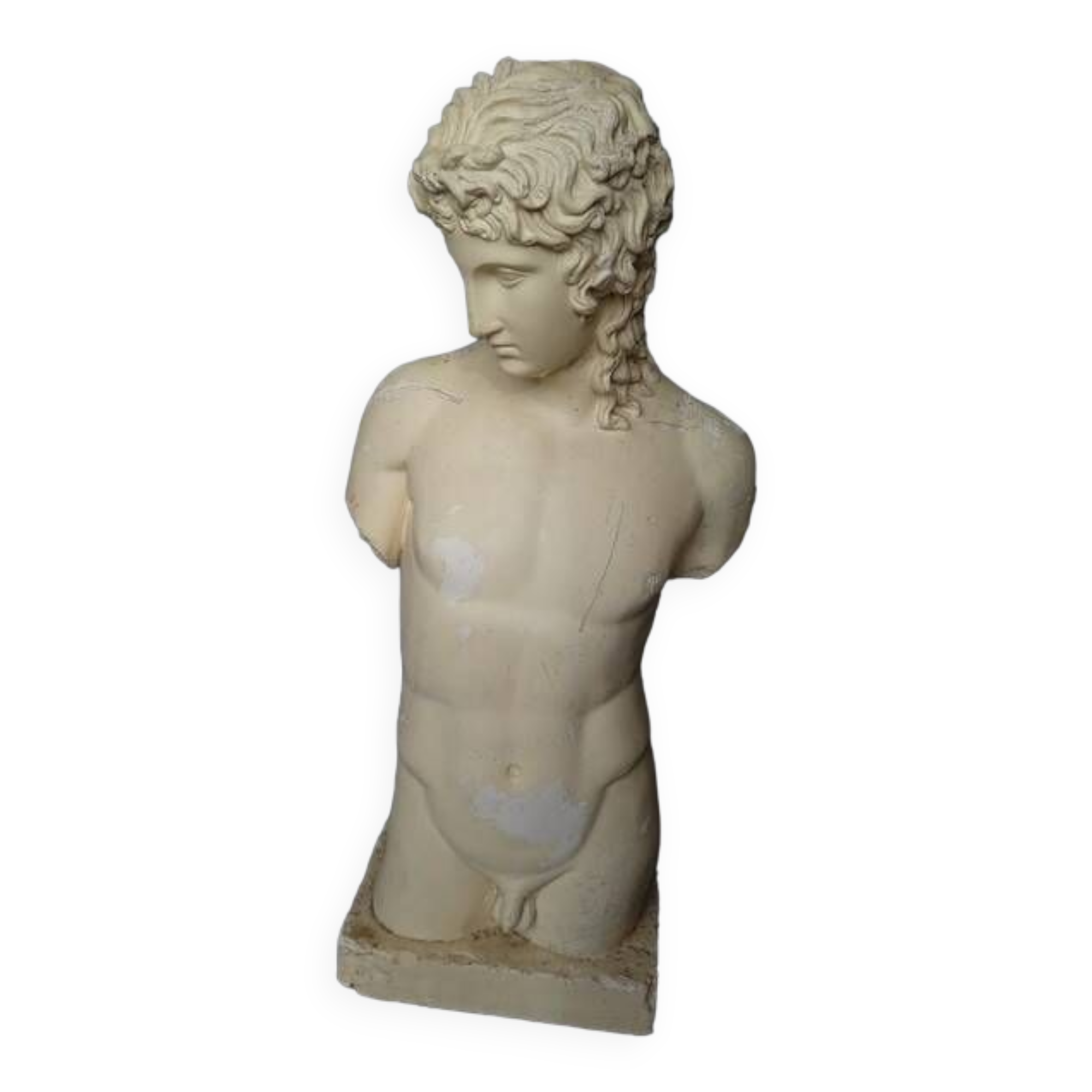 Adonis plaster bust 95cm ep 1950/60 man