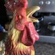 Beautiful rooster pitcher