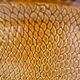 Fish plate Villeroy & Boch Gallo Neptuno