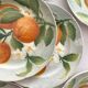 6 orange barbotine dessert plates from Saint Clément earthenware.