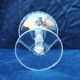 Baccarat crystal champagne glasses monogram 19th century
