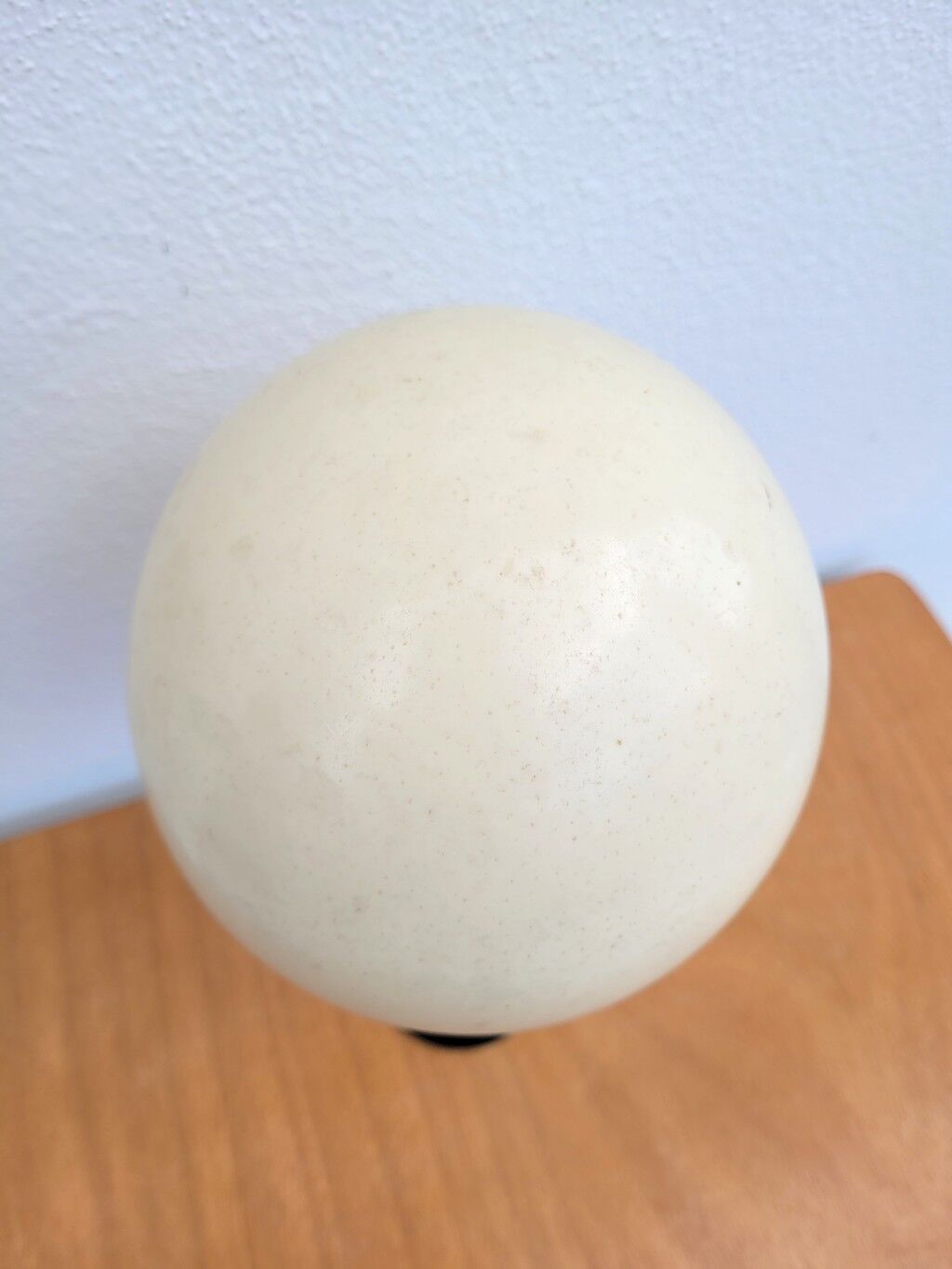 Ostrich egg on a brass stand