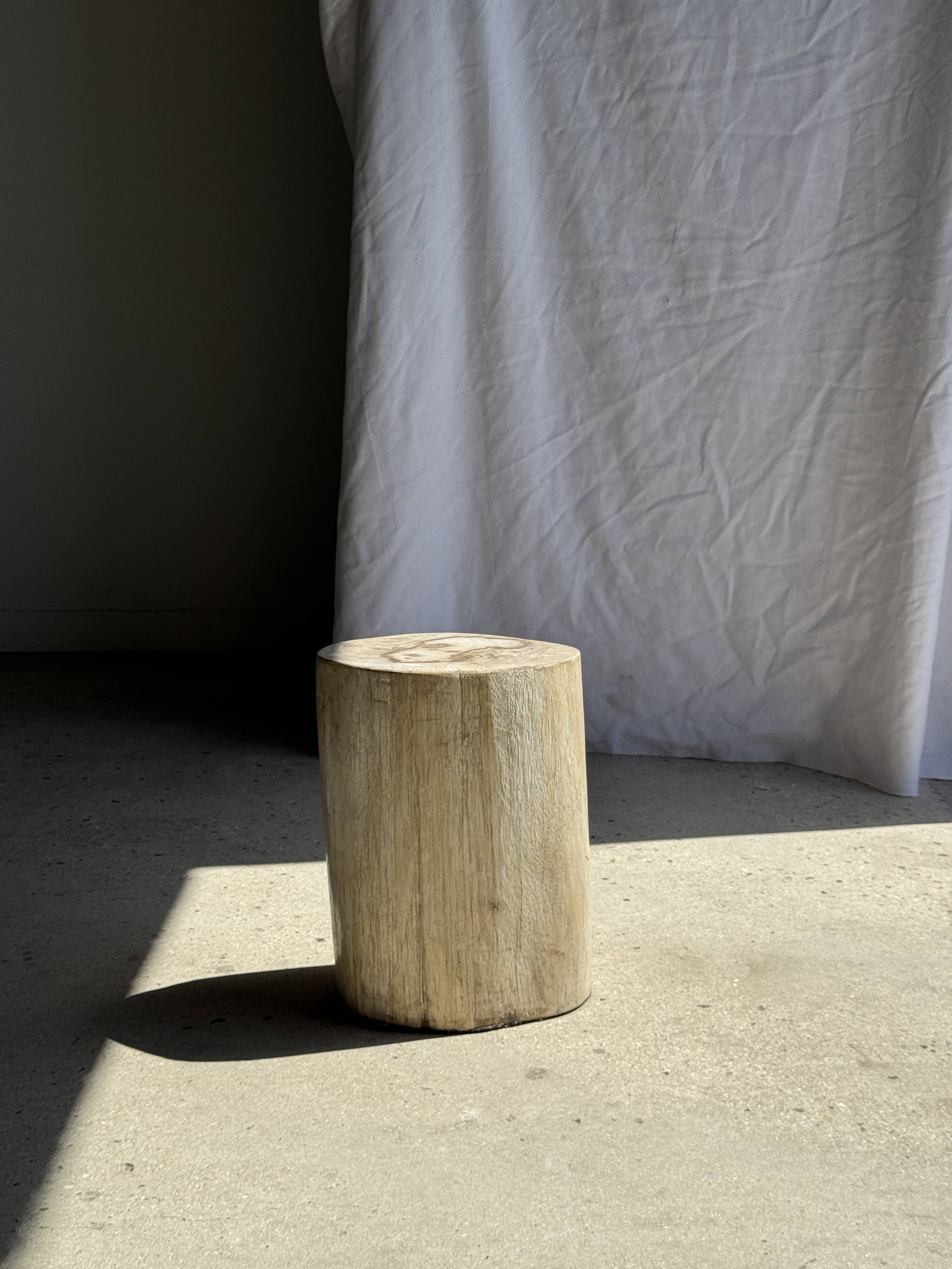 White oval petrified wood side table H38 D28 - 3335