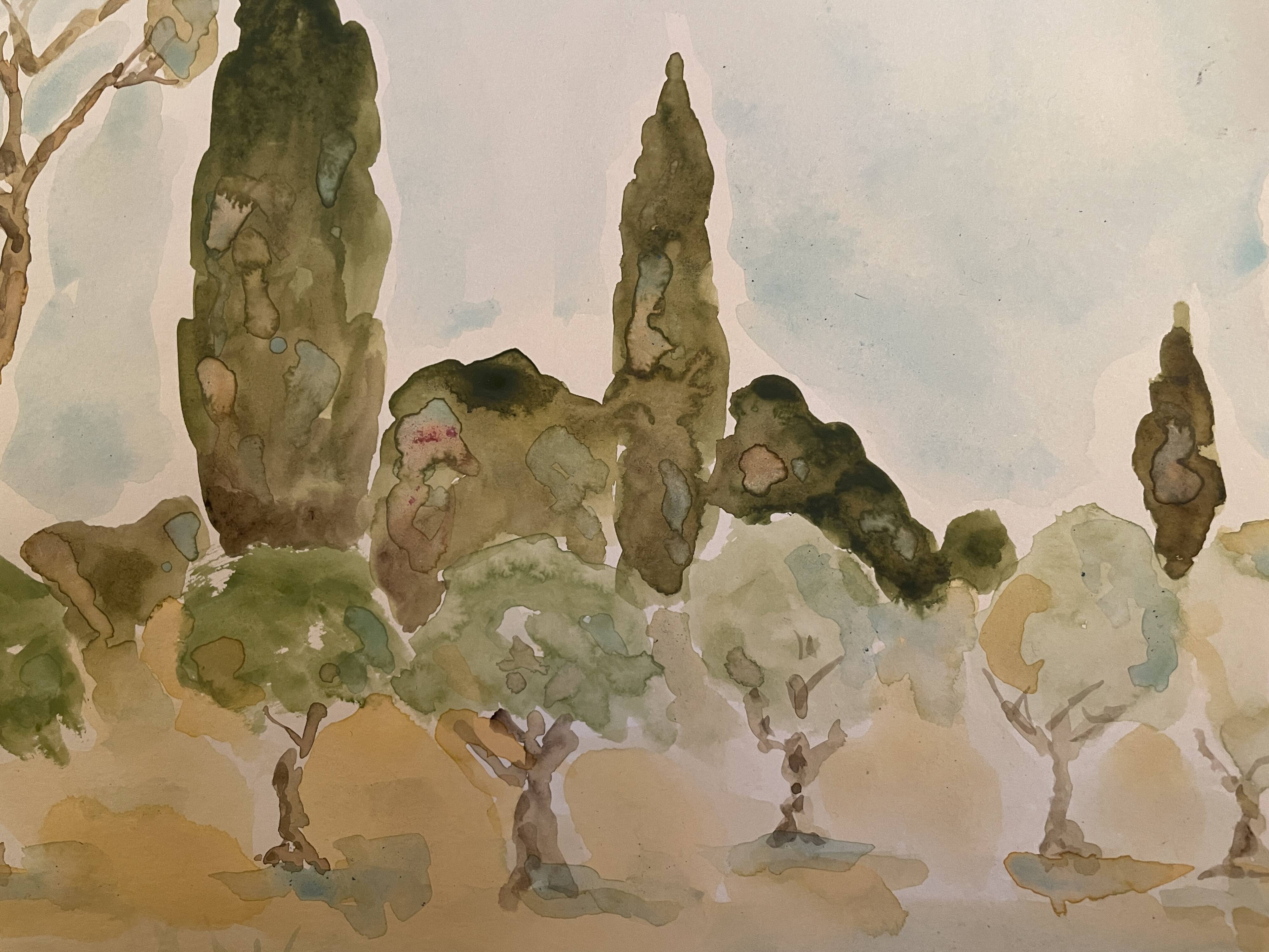 Signed watercolor painting “olive tree field in Provence”