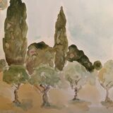 Signed watercolor painting “olive tree field in Provence”