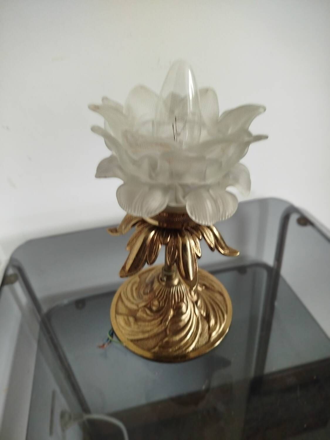 Pair of vintage floral wall lights or small pendant lights – glass deposition