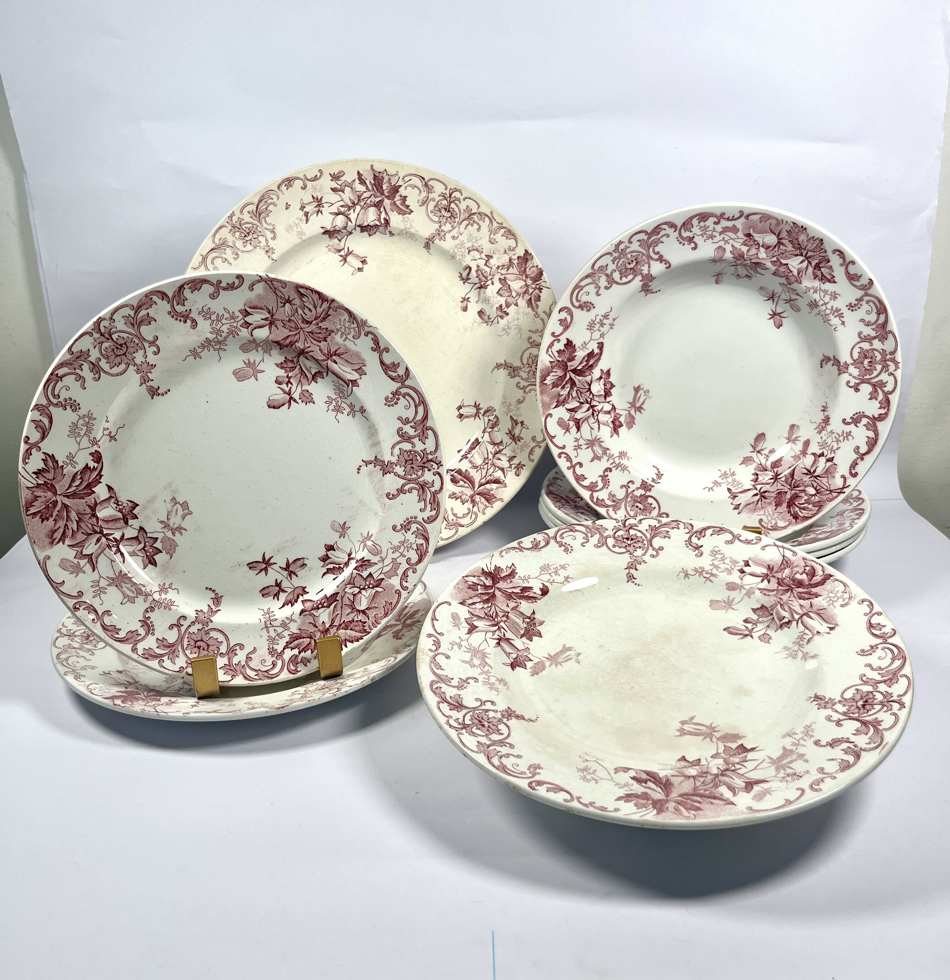 Ironstone Service - Saint Amand - Campanule