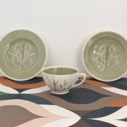 Tea cup by Susie Cooper hand painted
