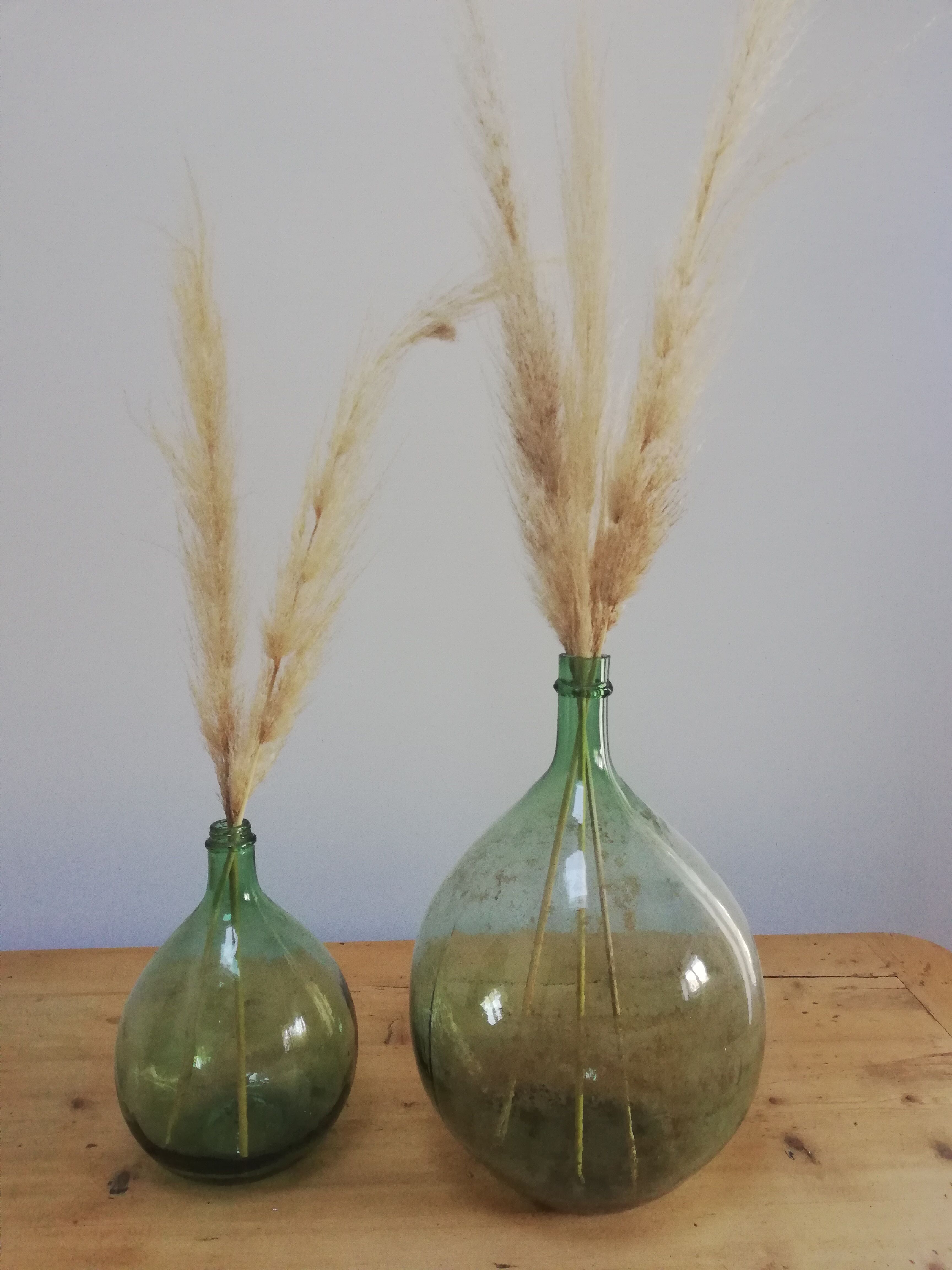 Pair of former demijohns