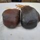 Pair of leather boxing gloves years 40
