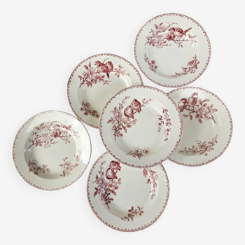 Favori Sarreguemines pink soup plates