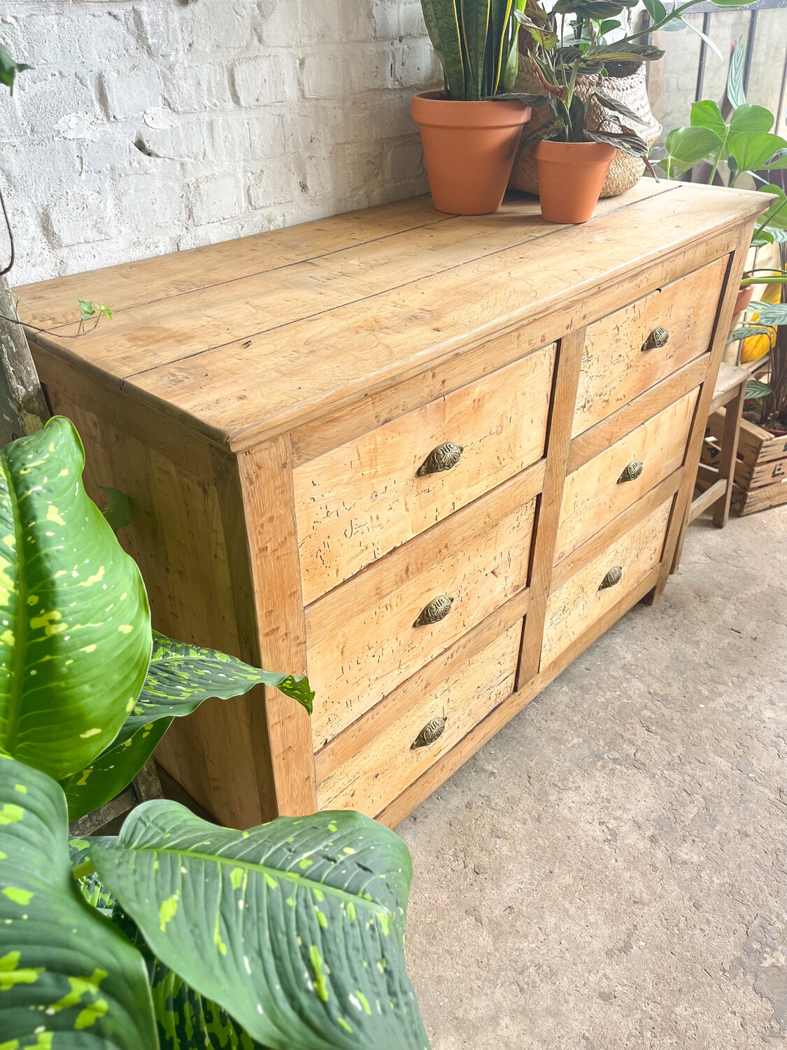 Old haberdashery furniture