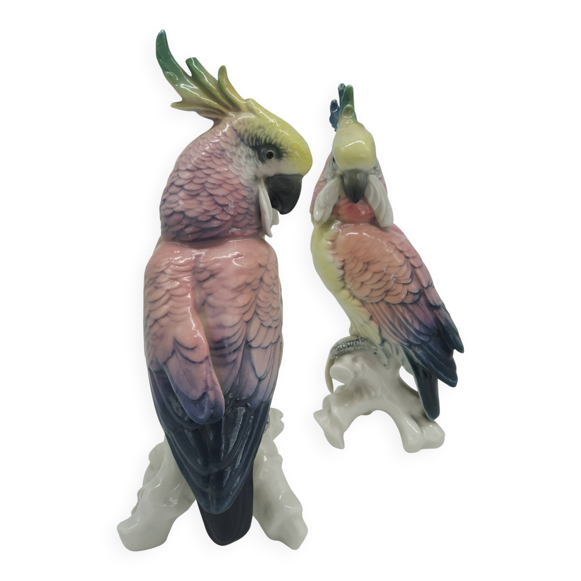 Couple of Cockatoos by Karl Ens