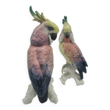Couple of Cockatoos by Karl Ens