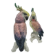 Couple de Cacatoes de Karl Ens