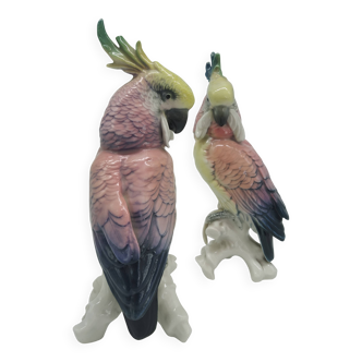 Couple of Cockatoos by Karl Ens