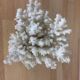 Natural ancient white coral 20 cm