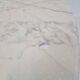 Knoll Marble Dining Table With 5 Chairs by Eero Saarinen, 1960s