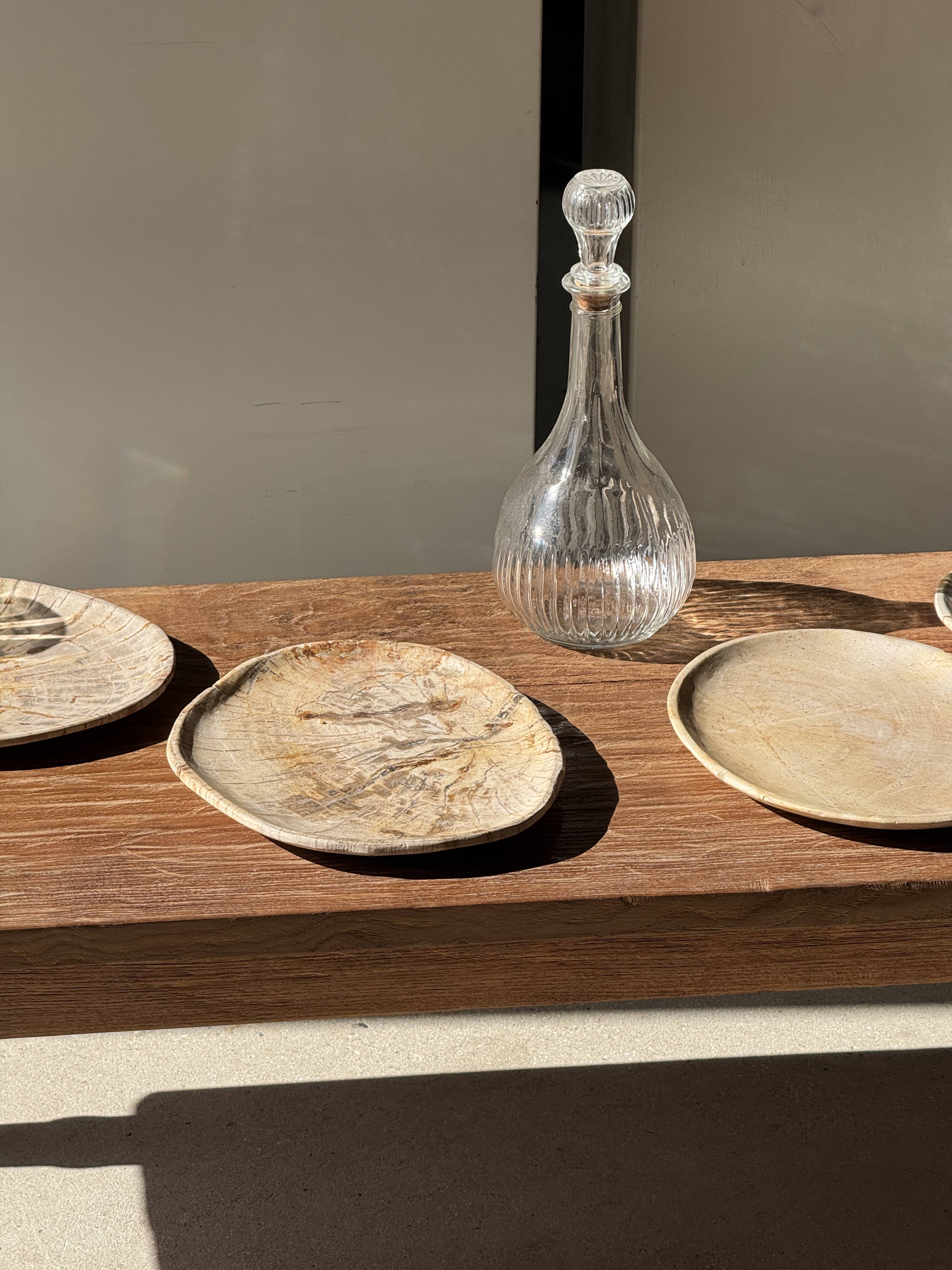 Small beige oval petrified wood dish or tray with crystals.