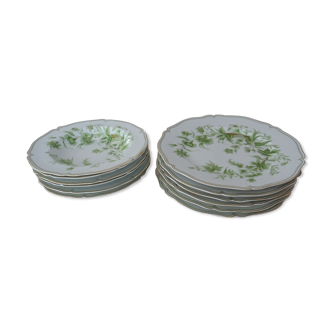 12 plates Haviland decoration with green horn and gold 6 plates and 6 hollow porcelain Limoges