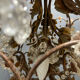 Italian Tole Murano Glass Chandelier 1960’s 