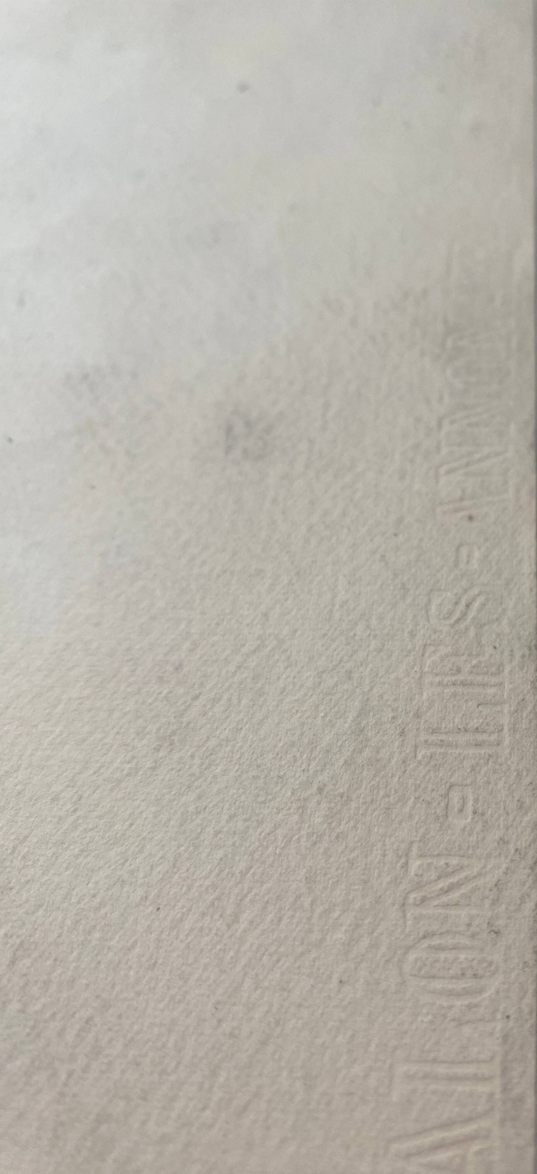 Watercolor painting "Bouquet of Eglantines" signed around 1900 on Vidalon paper