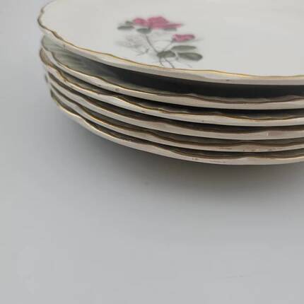 6 assiettes plates en porcelaine Digoin Sarreguemines - Modèle Sévigné