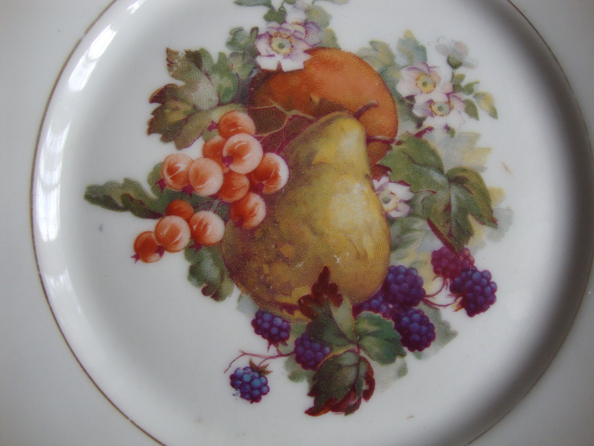 Set of 5 antique Limoges porcelain plates L.J.V with fruit decoration