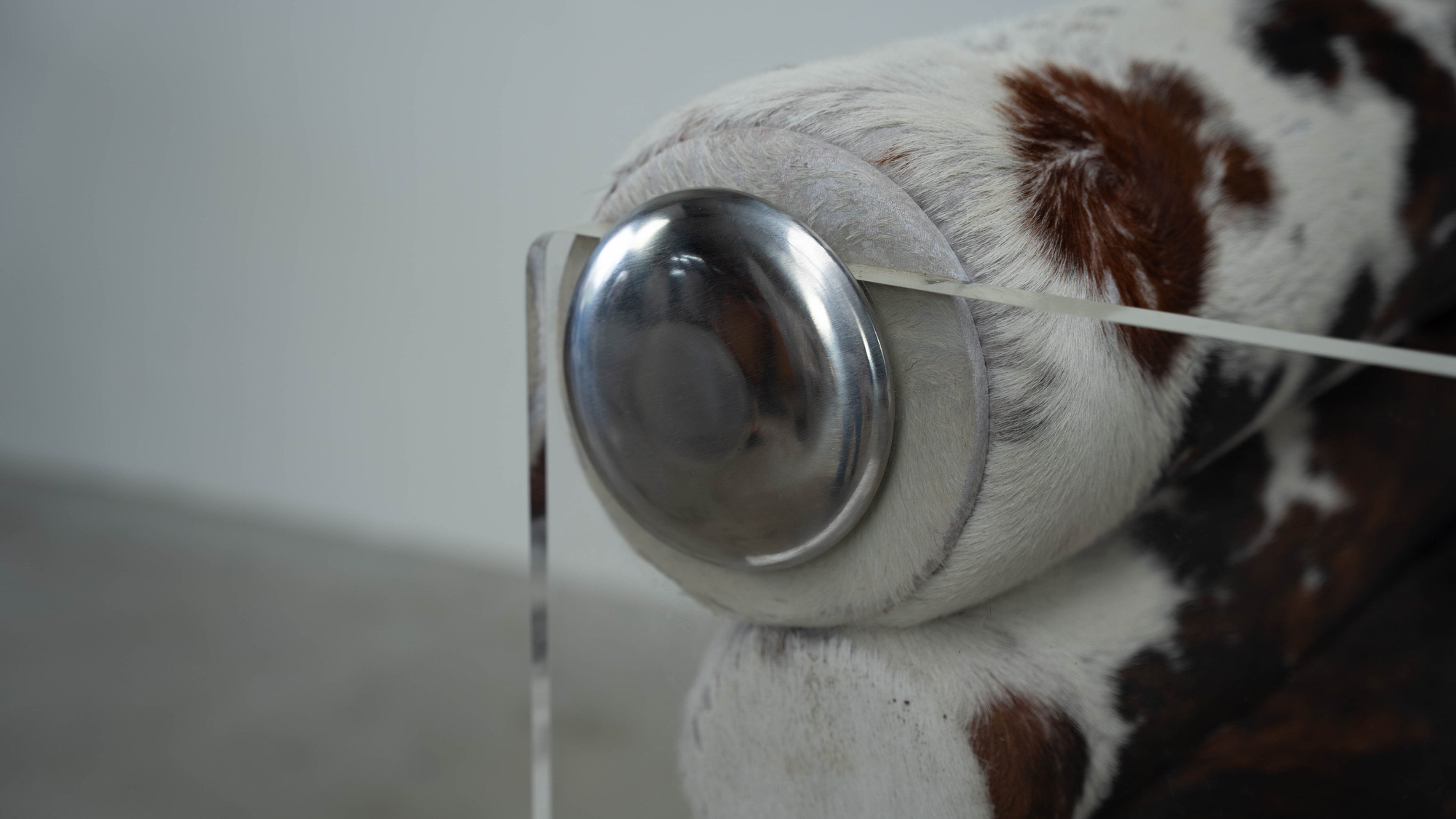 1970s French plexiglass lounge chair