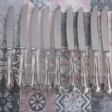 10 silver metal knives sfam