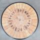 Vintage round ceramic herbarium coffee table Roger Capron