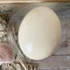 Ostrich egg curiosity cabinet