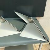 Pair lamps Fase design parrot