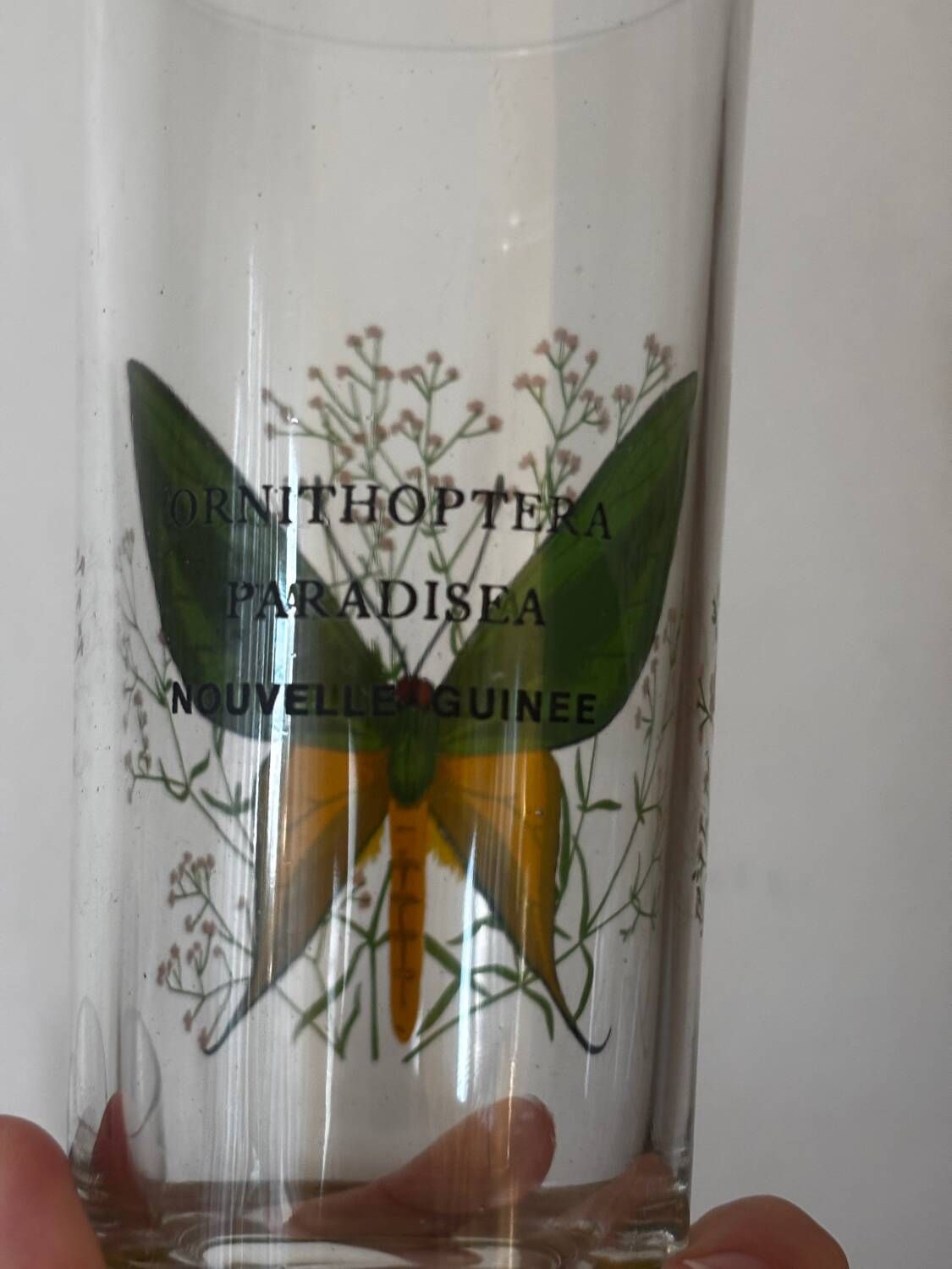 Vintage lot de 3 verres à eau papillons du monde