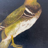 Duck painting