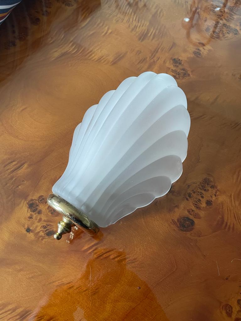 Shell wall lamp