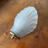 Shell wall lamp
