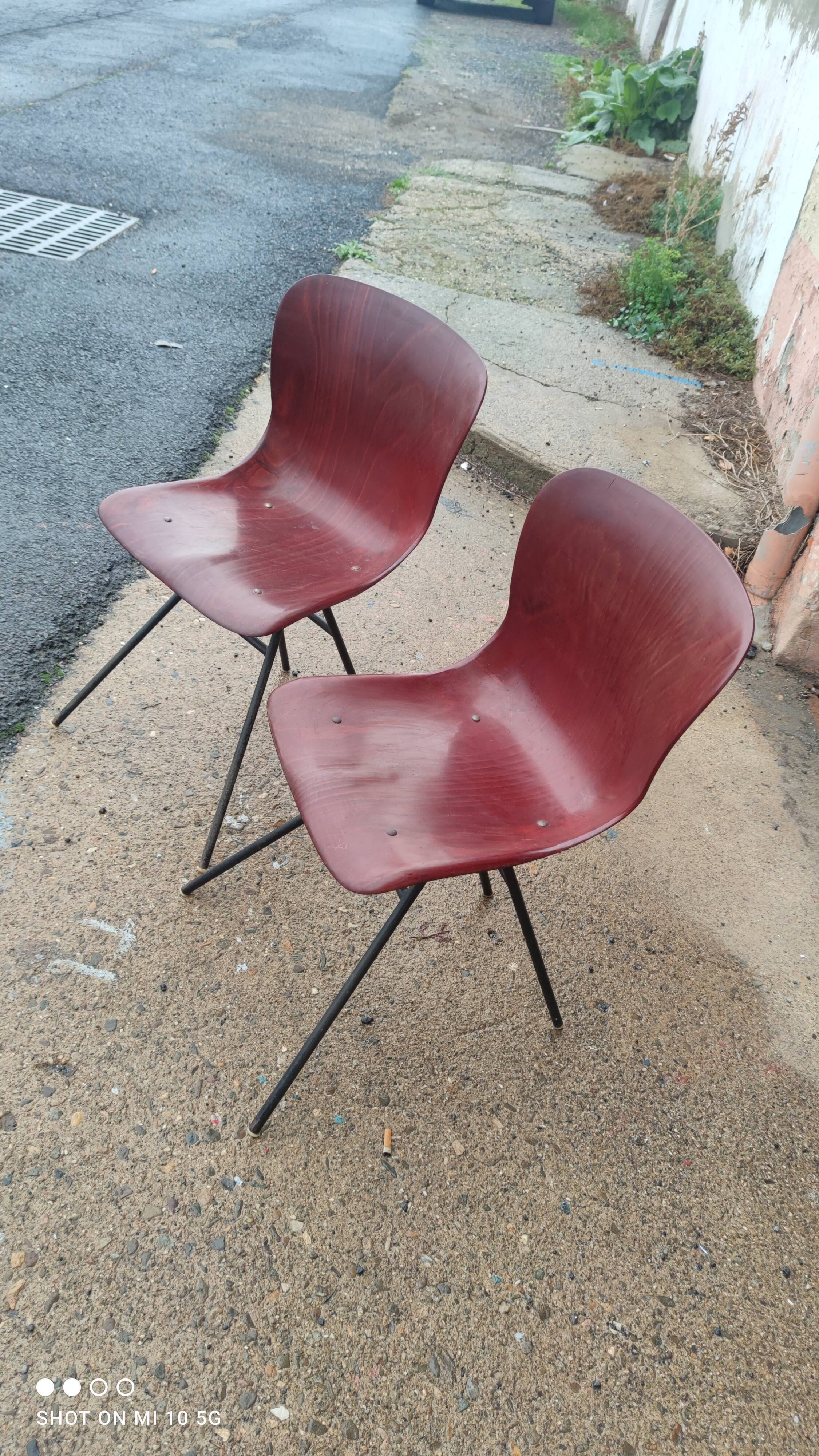 Pair of Pagholz chairs, Model 15074, by Elmar Flottoto in 1956
