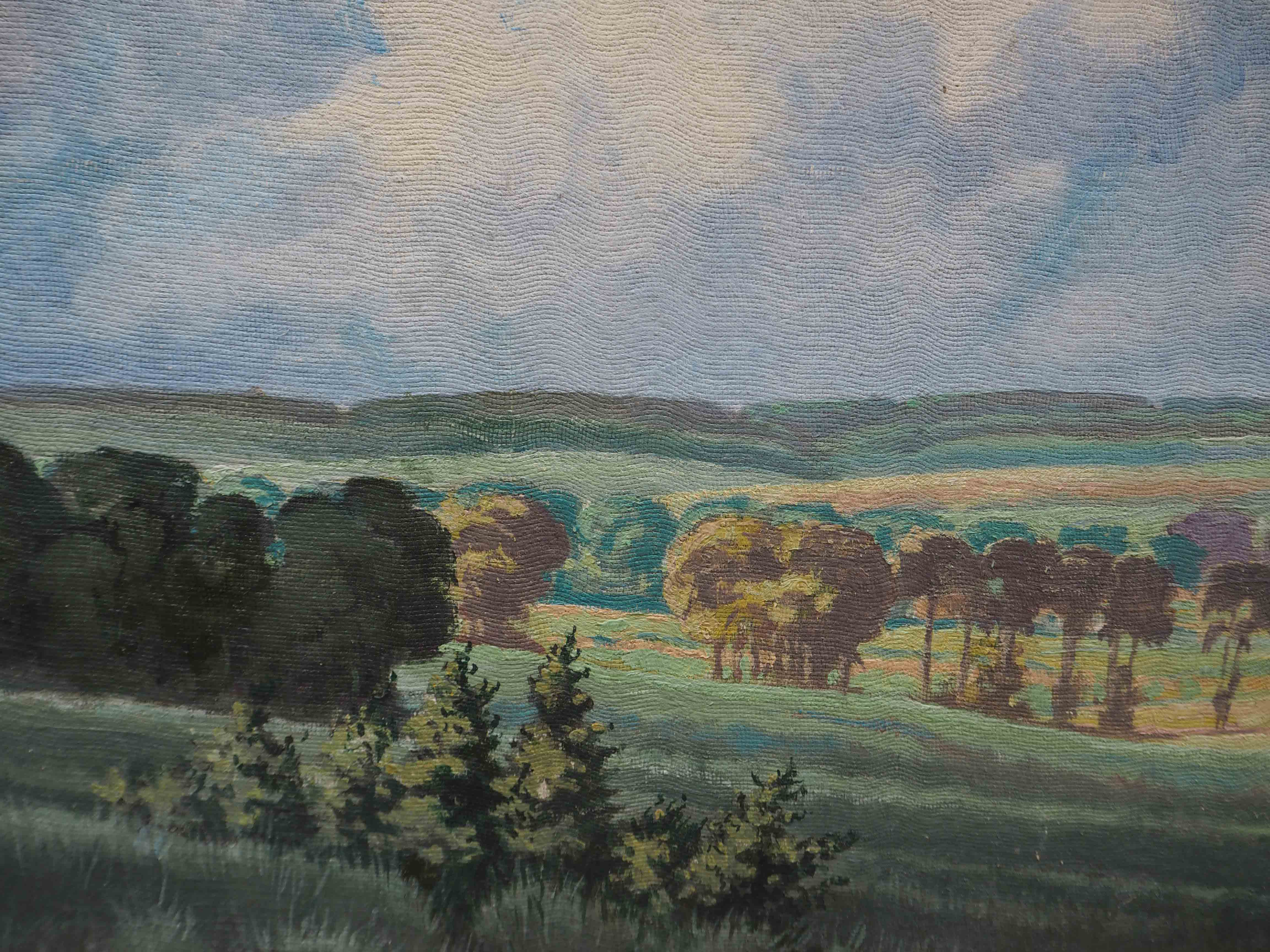 Tableau HSP Paysage ensoleillé Champs et forêts signé 1956 + cadre