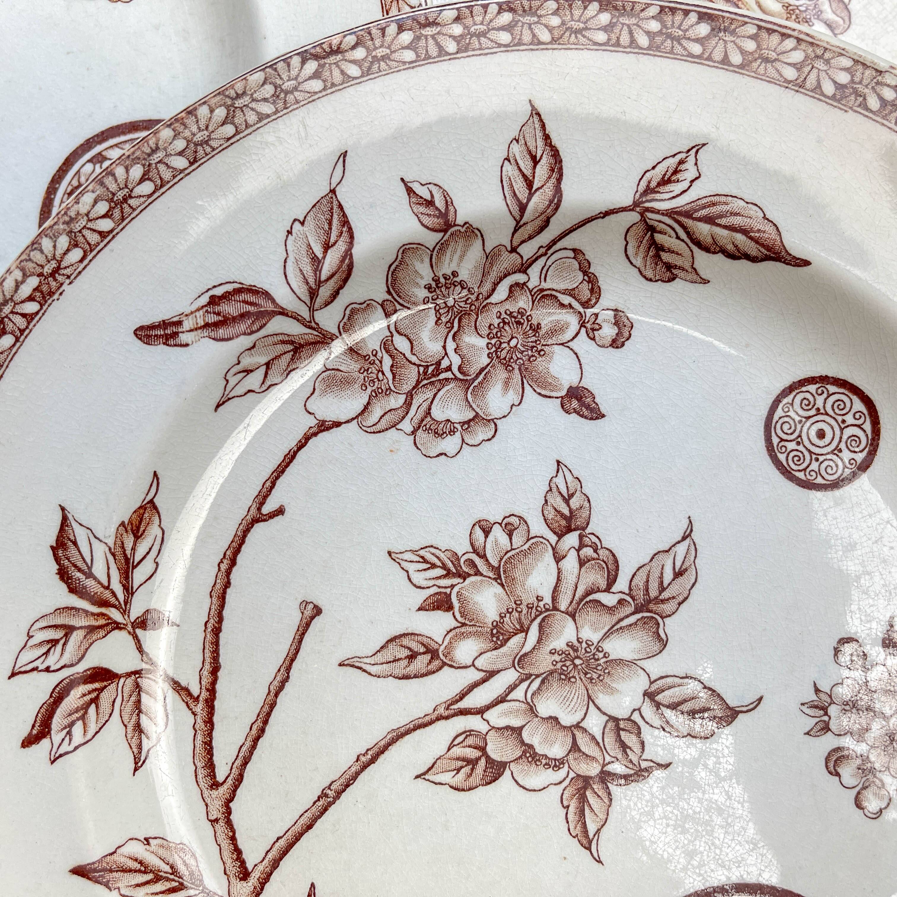 5 large old plates in brown ironstone - Grand Dépôt Paris