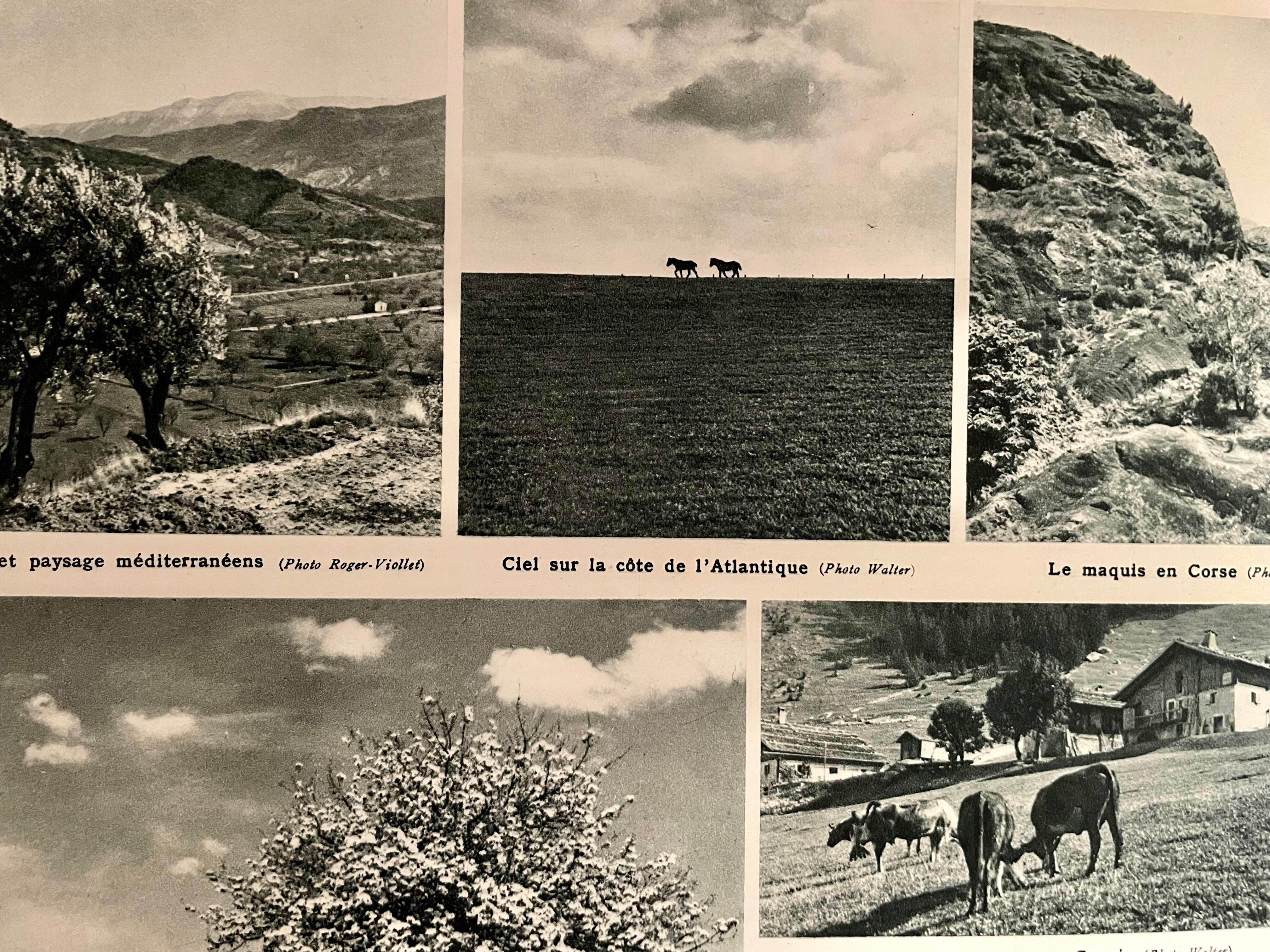 Old climate France map from 1945