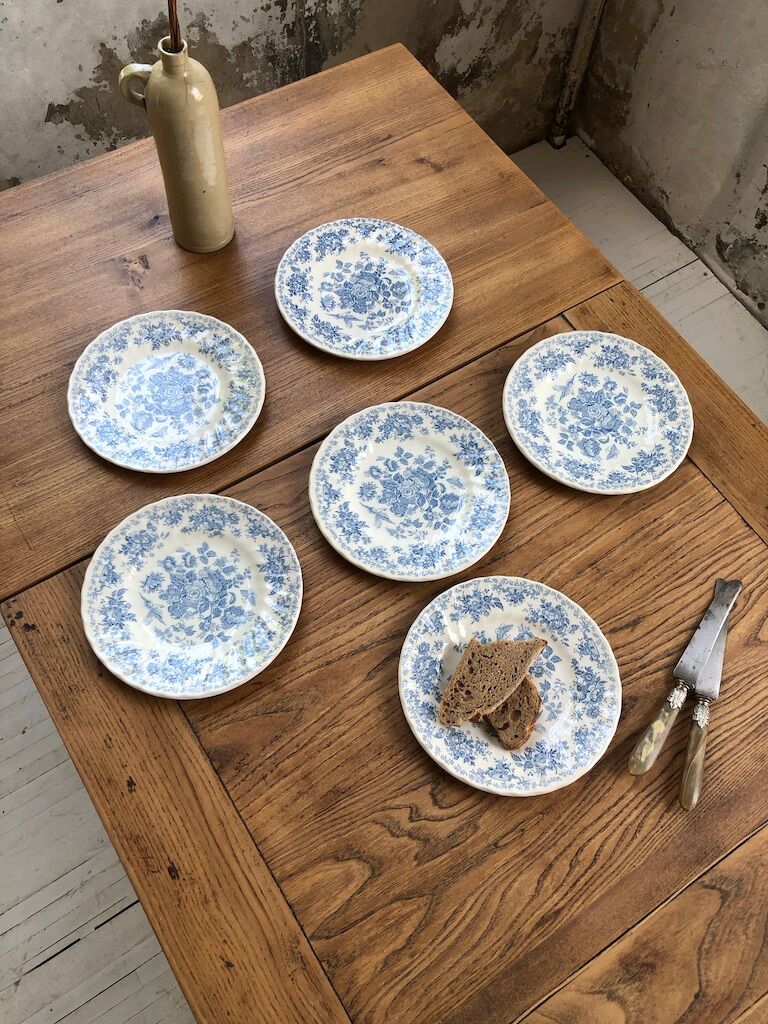 6 Myott Meakin plates