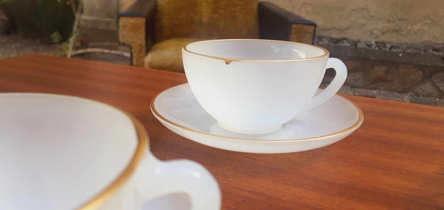6 cups vintage year 60 Arcopal model Harlequin opaline white