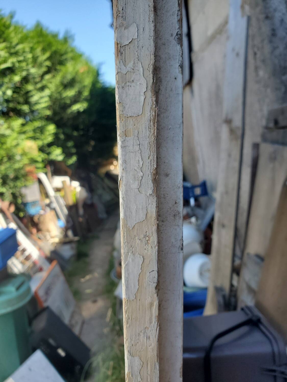 Old interior fir door